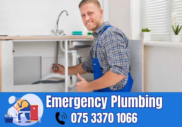  plumber Istead Rise