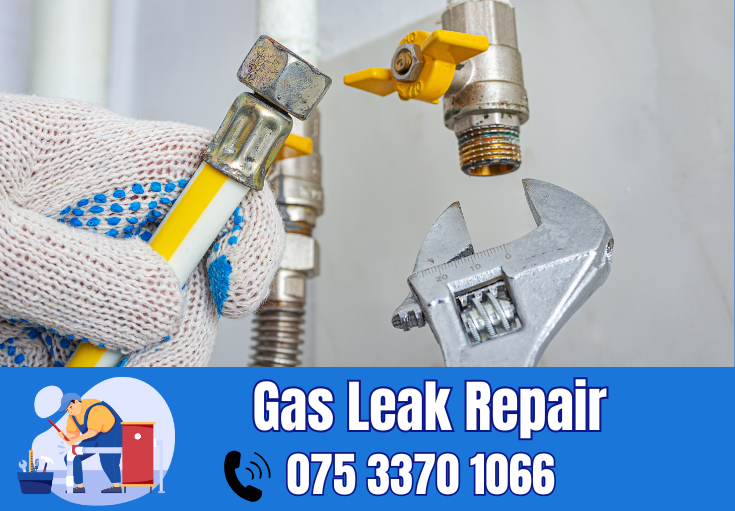 gas leak repair Cobham