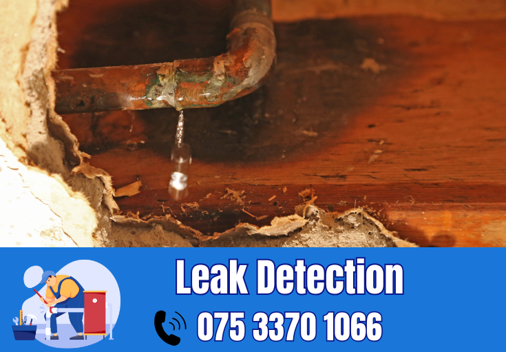 leak detection Cobham