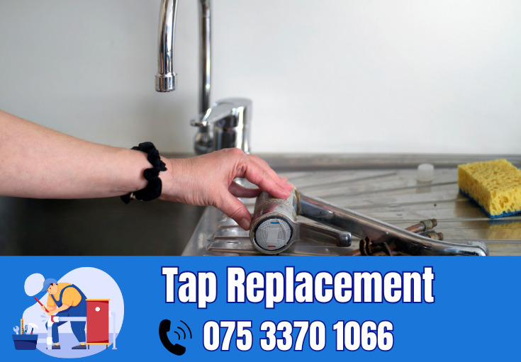 tap repair and replacement Cobham