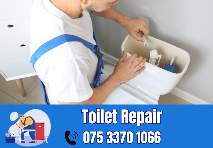 toilet repair Cobham